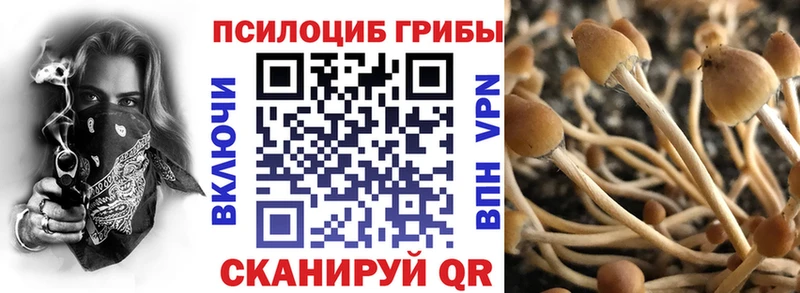 Галлюциногенные грибы Psilocybine cubensis  Славск 